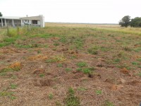 /album/chacara-15x50-com-fundos-para-lagoa-pontal-situada-a-aproximadamente-30km-de-atlantida-sul-da-estrada-do-mar-sentido-a-lagoa-em-um-condominio-so-de-chacaras-r-50-000-aceita-terreno-em-capao-da-canoa-/p5150115-jpg/