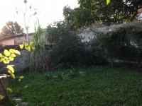 /album/casa-em-gravatai%2c-morada-do-vale1%2c-troca-por-apto-ou-casa-em-cap%c3%a3o-da-canoa%2c-bem-localisada-otimo-terreno-12x25%2c-doc-em-dia-estuda-volta-em-dinheiro-r%24170-000-fone%3a-98225698-85104454-82868190-89087320-visite-tambem-o-site/dscf1107-jpg/